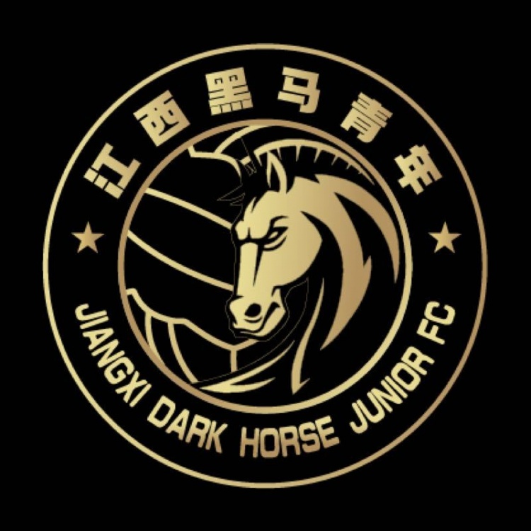  官方：江西黑馬青年完成異地遷移程序，更名為溫州職業(yè)足球俱樂部